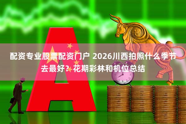 配资专业股票配资门户 2026川西拍照什么季节去最好？花期彩林和机位总结